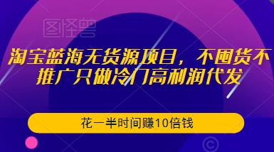 淘宝蓝海无货源项目,不囤货不推广只做冷门高利润代发,花一半时间赚10倍钱-第一资源库