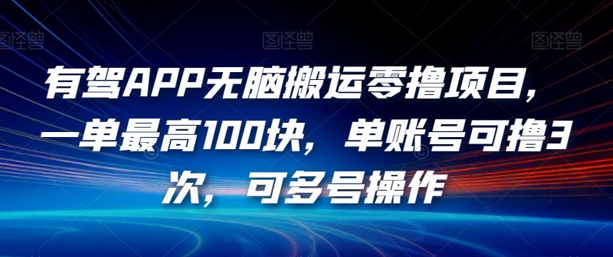 有驾APP无脑搬运零撸项目,一单最高100块,单账号可撸3次,可多号操作【揭秘】-第一资源库