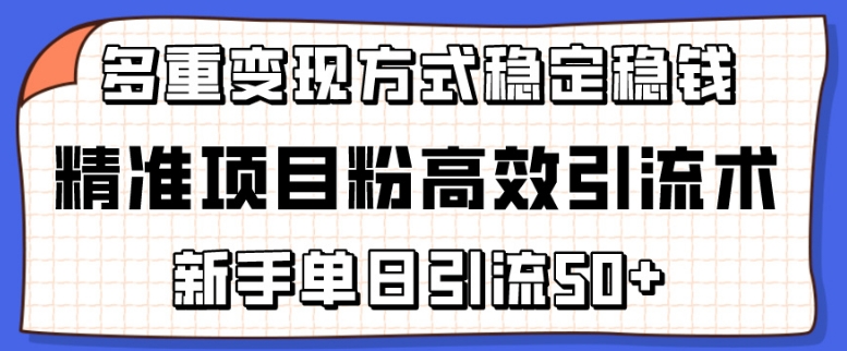 精准项目粉高效引流术,新手单日引流50+,多重变现方式稳定赚钱【揭秘】-第一资源库