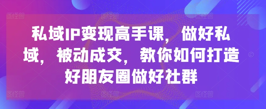 私域IP变现高手课,做好私域,被动成交,教你如何打造好朋友圈做好社群-第一资源库