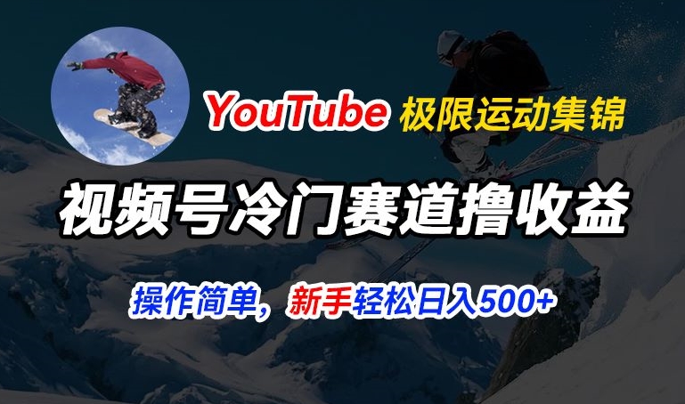 视频号冷门赛道撸收益，YouTube搬运极限运动集锦，暴力起号，操作简单流量高，轻松日入5张【揭秘】-第一资源库