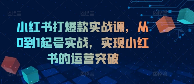 小红书打爆款实战课,从0到1起号实战,实现小红书的运营突破-第一资源库