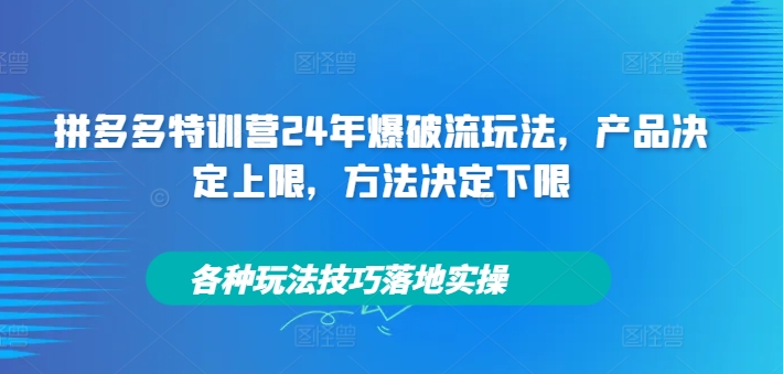 拼多多特训营24年爆破流玩法,产品决定上限,方法决定下限,各种玩法技巧落地实操-第一资源库
