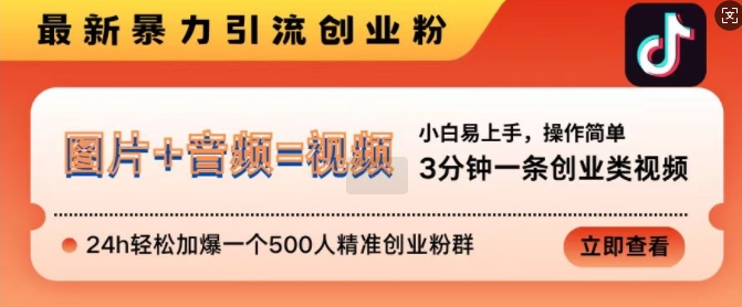 抖音最新暴力引流创业粉,3分钟一条创业类视频,24h轻松加爆一个500人精准创业粉群【揭秘】-第一资源库