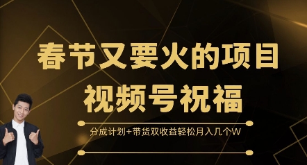 春节又要火的项目视频号祝福，分成计划+带货双收益，轻松月入几个W【揭秘】-第一资源库