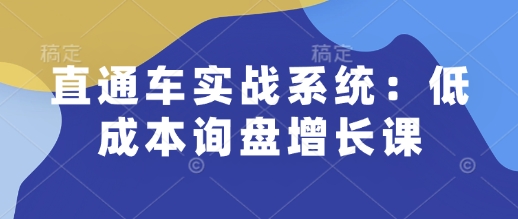 直通车实战系统:低成本询盘增长课,让个人通过技能实现升职加薪,让企业低成本获客,订单源源不断-第一资源库