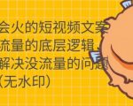 只说话就会火的短视频文案课，从根本上解决没流量的问题-第一资源库