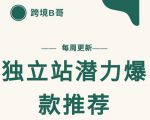 【跨境B哥】独立站潜力爆款选品推荐，测款出单率高达百分之80-第一资源库