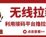 最新接码无限拉新项目，利用接码平台赚拉新平台差价，轻松日赚500+-第一资源库