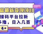 东方财富最新变现项目,利用接码平台拉新,多号多撸,日入几百无压力-第一资源库