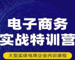 民赛电气内部出品:电子商务实战特训营,全方位带你入门电商,308种方式玩转电商-第一资源库