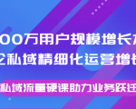 8000万用户规模增长方法论私域精细化运营增长，私域流量硬课助力业务跃迁-第一资源库