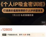个人IP吸金密训班，打造高价值高效率的个人IP内容体系（价值12800元）-第一资源库