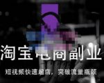 蓝Sir派·淘宝短视频快速起店，替代传统搜索方式，学会做一个不一样的淘宝店-第一资源库