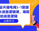 大圣淘宝天猫电商1-7层级盈利增长底层逻辑课，爆款的底层逻辑-第一资源库