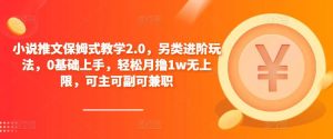 小说推文保姆式教学2.0,另类进阶玩法,0基础上手,轻松月撸1w无上限,可主可副可兼职-第一资源库