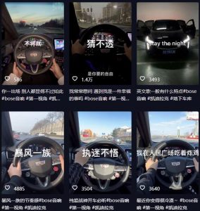 抖音开车视频项目,0基础操作,每天五分钟,月入1W+【揭秘】-第一资源库