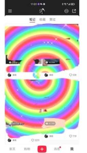 冷门高利润项目,小红书带货,无脑搬运,一部手机实现日入500+【揭秘】-第一资源库