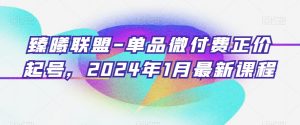 臻曦联盟-单品微付费正价起号,2024年1月最新课程-第一资源库