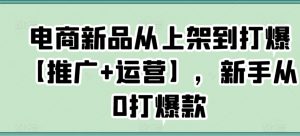 电商新品从上架到打爆【推广+运营】,新手从0打爆款-第一资源库