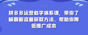 拼多多运营必学体系课，带你了解最新流量获取方法、帮助你降低推广成本-第一资源库