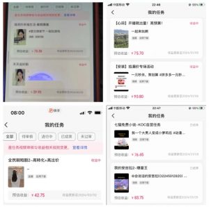 2024年3月最新，快手磁力聚星全流程实操教学，8台手机日均收益稳定100~200元【揭秘】-第一资源库