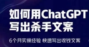 如何用ChatGPT写出杀手文案，6个月实操经验，快速写出收钱文案-第一资源库