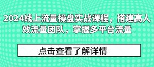 2024线上流量操盘实战课程,搭建高人效流量团队,掌握多平台流量-第一资源库