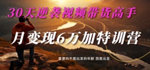 30天逆袭视频带货高手，单月变现6万加特训营-麦子甜-第一资源库
