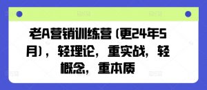 老A营销训练营(更24年11月),轻理论,重实战,轻概念,重本质-第一资源库
