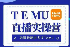 Temu直播实战营,玩赚跨境拼多多Temu,国内电商卷就出海赚美金-第一资源库