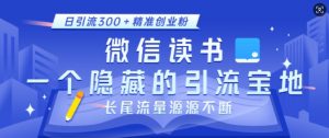微信读书,一个隐藏的引流宝地,不为人知的小众打法,日引流300+精准创业粉,长尾流量源源不断-第一资源库