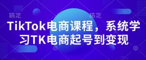 TikTok电商课程,系统学习TK电商起号到变现-第一资源库