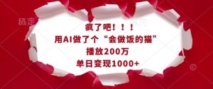 疯了吧!用AI做了个“会做饭的猫”,播放200万,单日变现1k-第一资源库