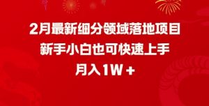 2月最新细分领域落地项目,新手小白也可快速上手,月入1W-第一资源库